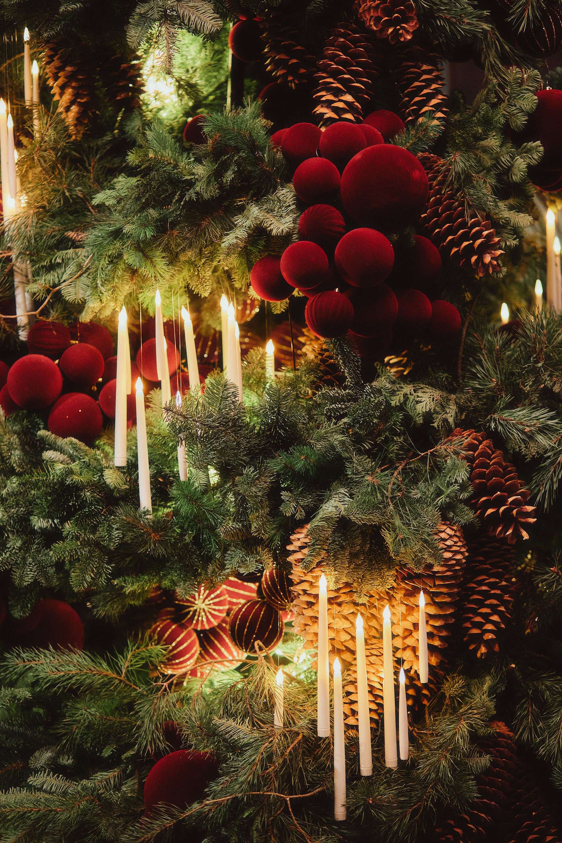 Lustra Seasonal Edit