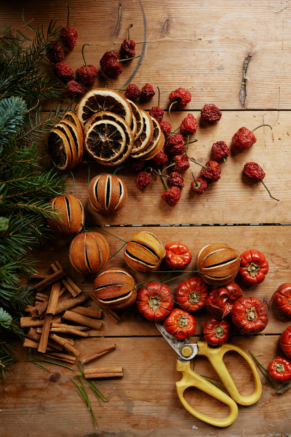 Lustra Seasonal Edit