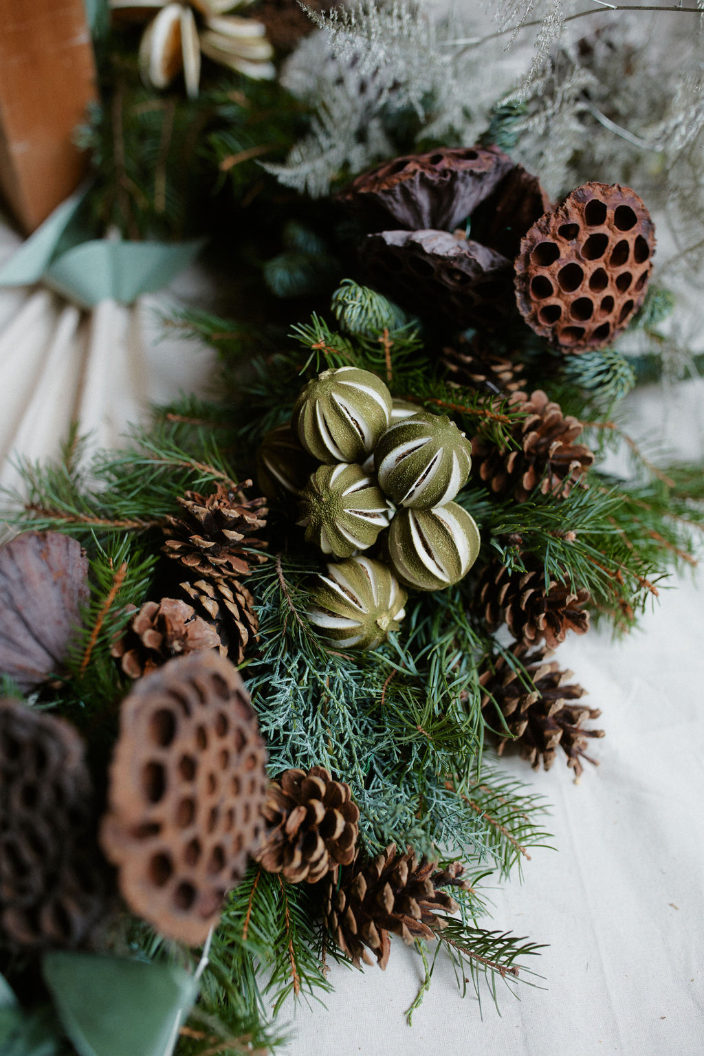 Lustra Seasonal Edit