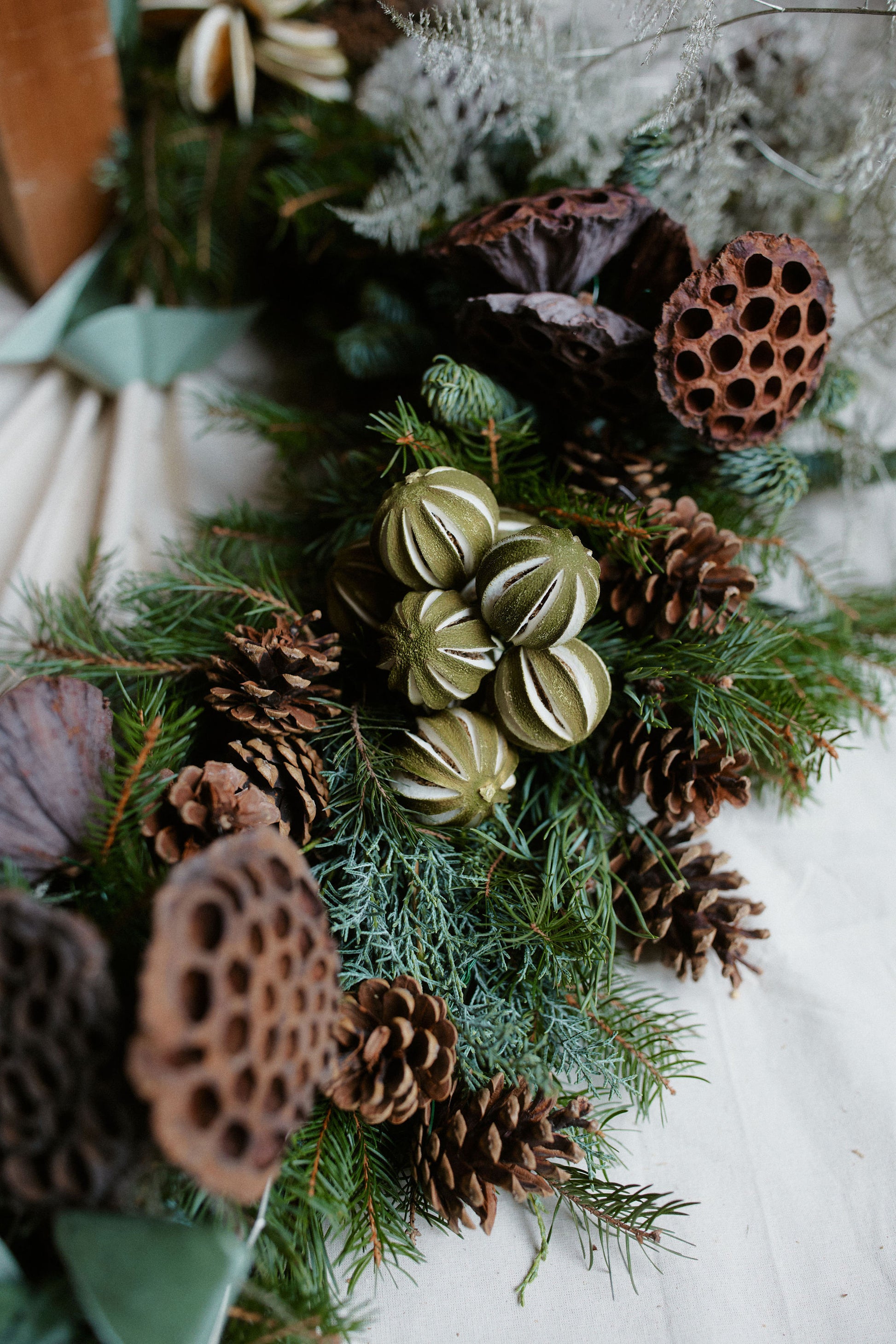 Lustra Seasonal Edit